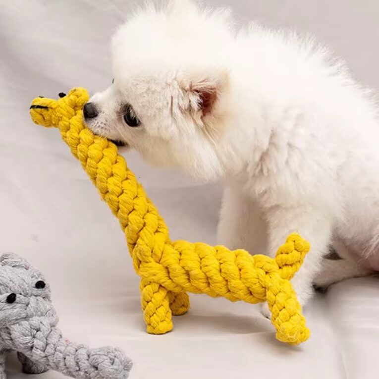 dogtoys